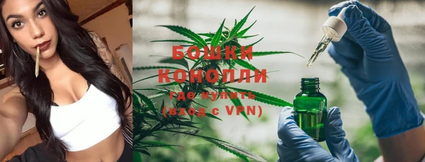 не бодяженный Белокуриха