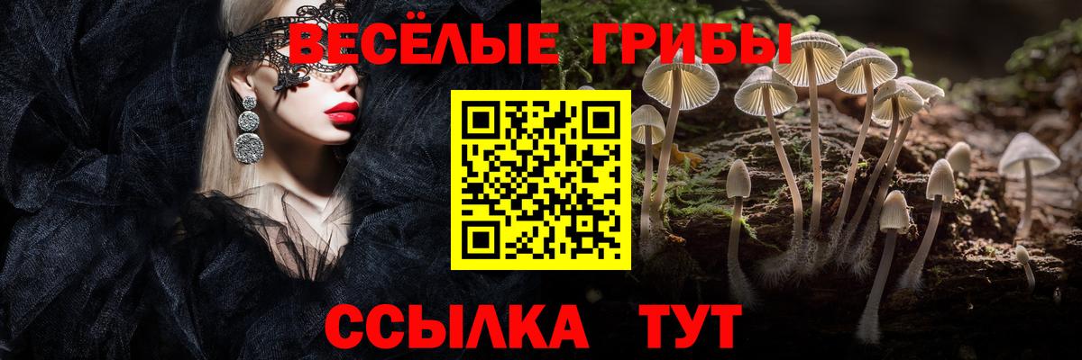 Псилоцибиновые грибы ЛСД  Вход с VPN  Бор 