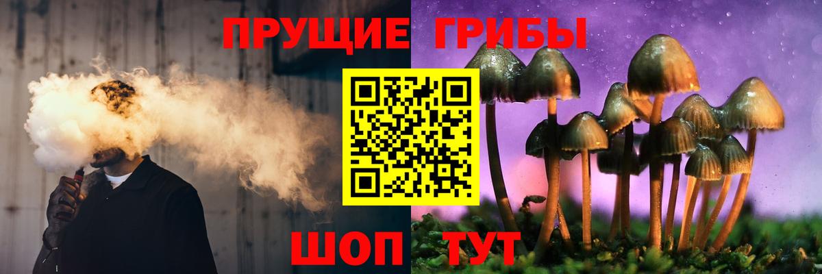 Галлюциногенные грибы Psilocybine cubensis Бор
