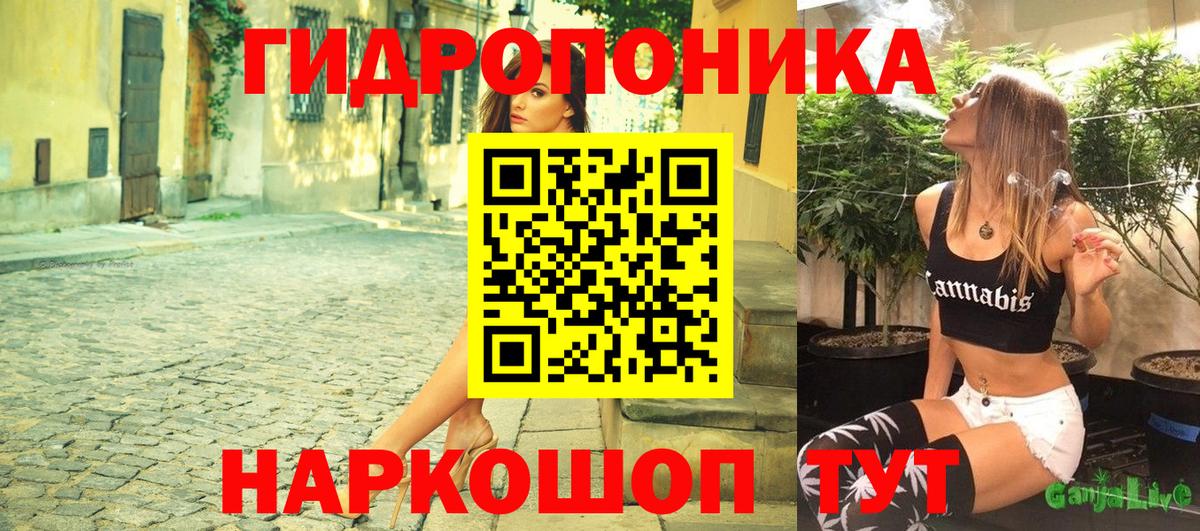 Бошки Шишки White Widow Бор